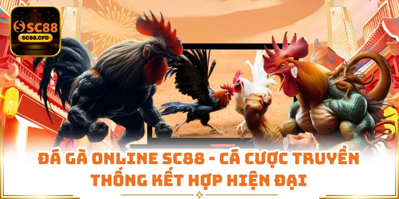Đá Gà Online SC88 - Cá Cược Truyền Thống Kết Hợp Hiện Đại